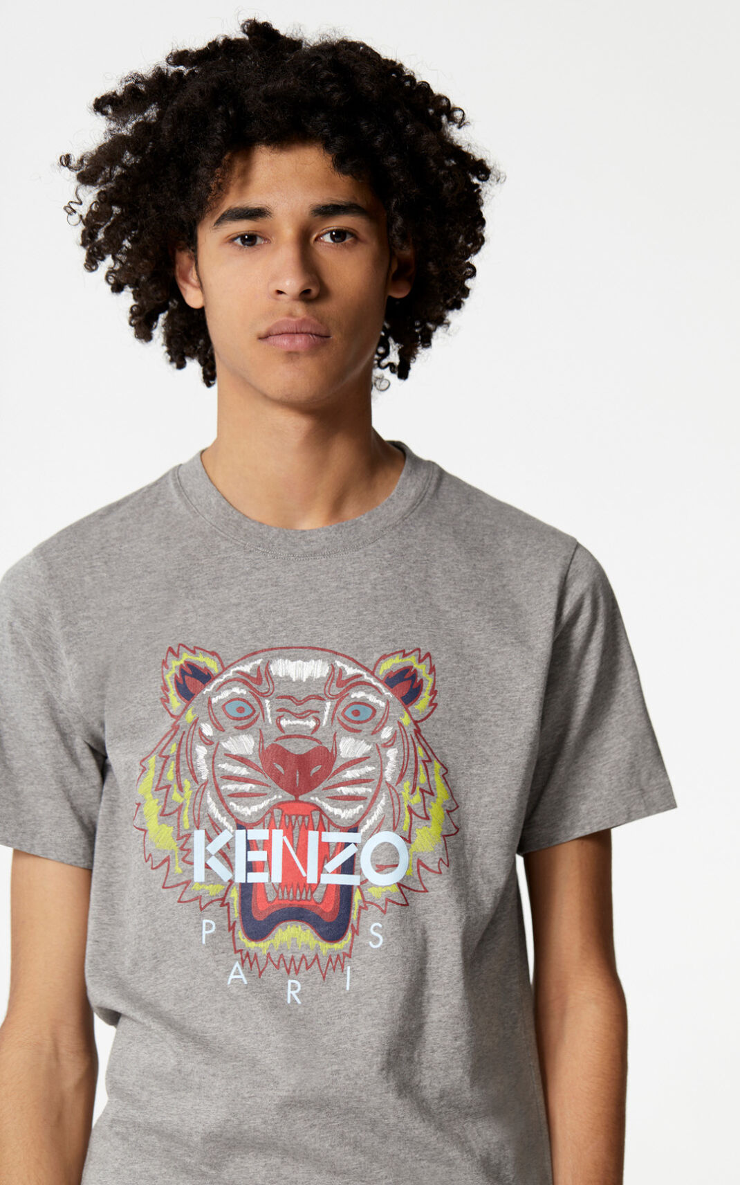 T Shirt Kenzo Homme Tiger Grise KPFZW-7952